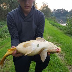 Profilbild