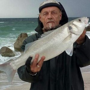 Claus-dieter Nielsen