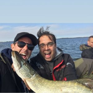 Profilbild