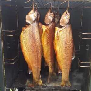 Forellenfilet