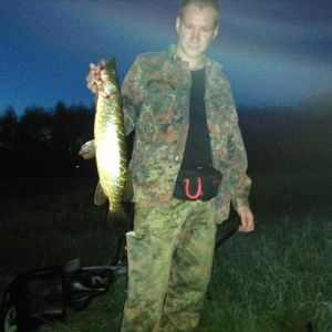 Profilbild
