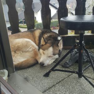 Profilbild