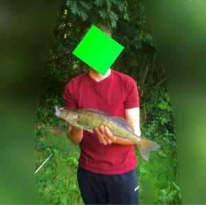 Profilbild
