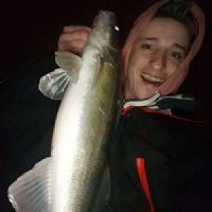 Profilbild
