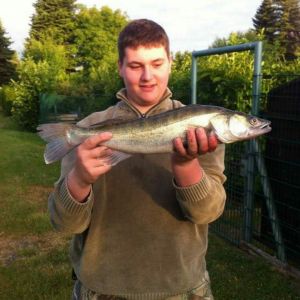 Profilbild