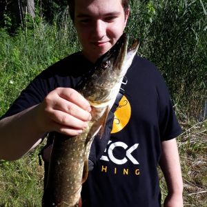Profilbild