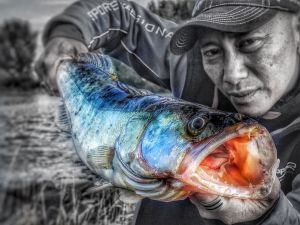 vanminh74