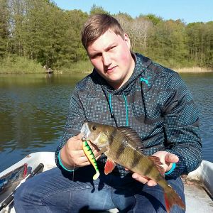 Dominic Rybacki