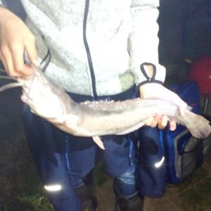 Upschörter Profi-Angler