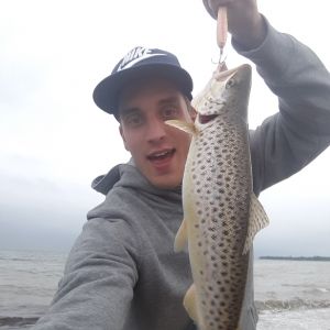 Profilbild