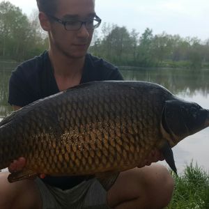 Bjarne99