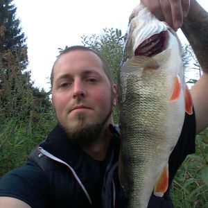 Profilbild