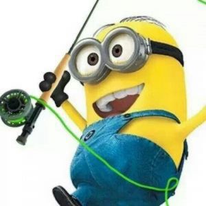Profilbild