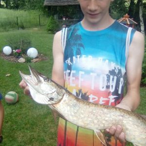 Profilbild