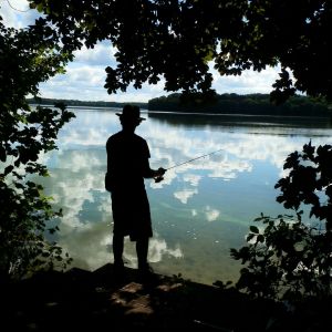 Profilbild