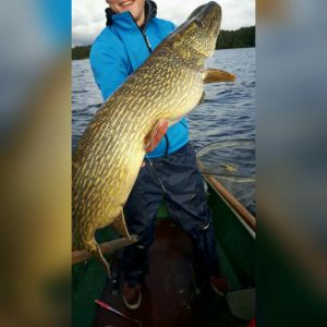 Mr.Pike