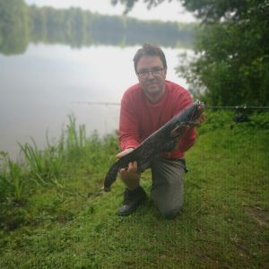 Profilbild