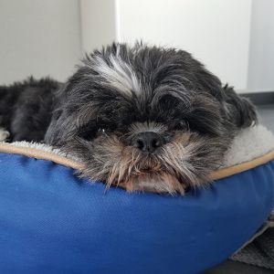 Profilbild