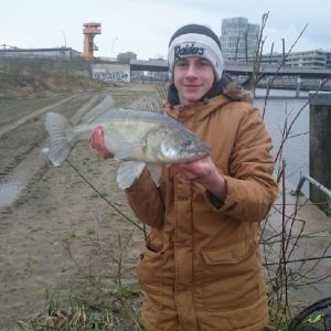Profilbild