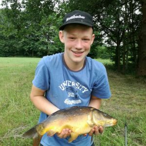 Profilbild
