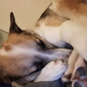 Profilbild