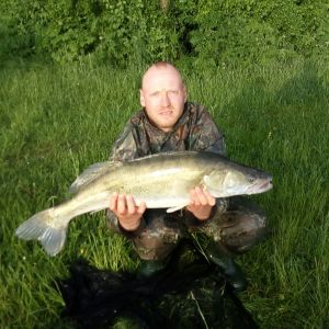 Aal Angler