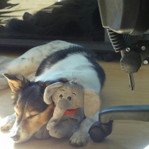 Profilbild