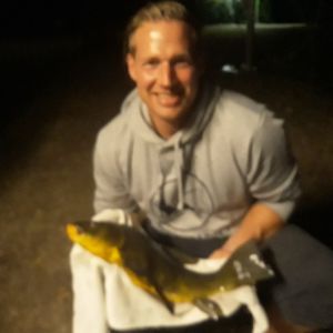 Profilbild