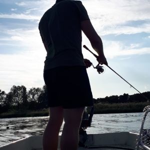 Profilbild