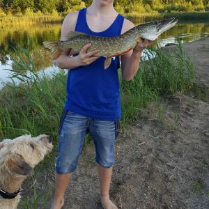 Profilbild