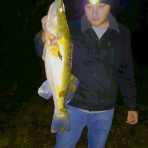 Profilbild