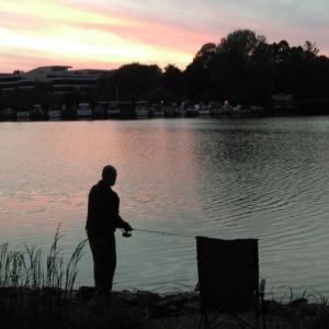 Profilbild