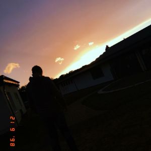 Profilbild