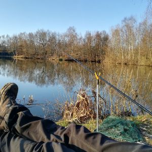 Profilbild
