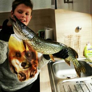Profilbild