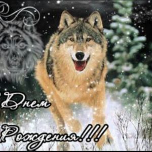 Profilbild