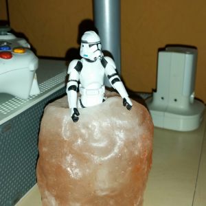Profilbild
