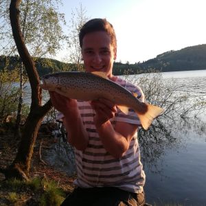 Profilbild