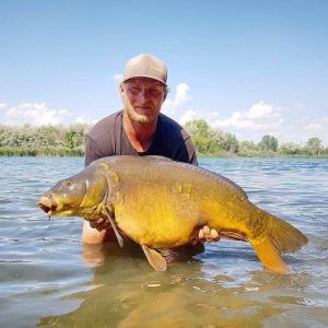 Steve Bartholomaeus