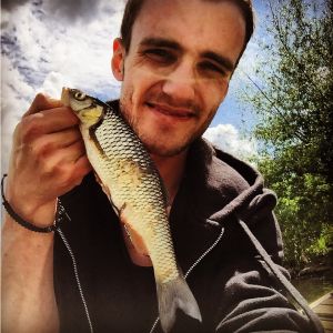 Profilbild