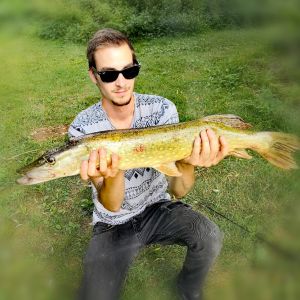 Profilbild