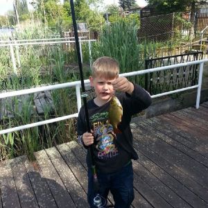 Profilbild