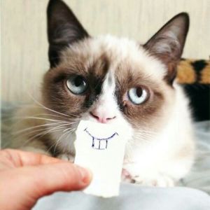 Profilbild