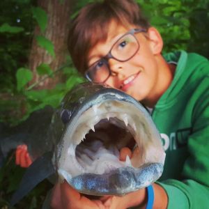Profilbild