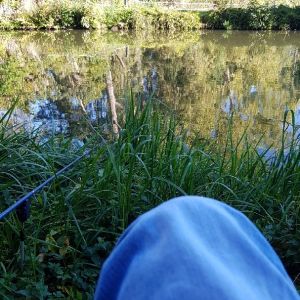 Profilbild