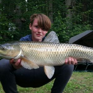 Profilbild