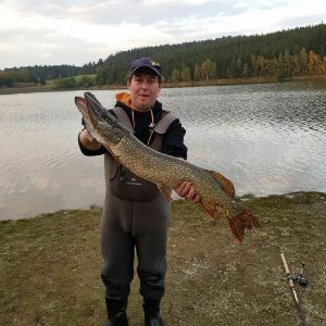 Profilbild