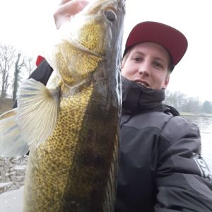 Profilbild