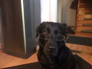 Profilbild
