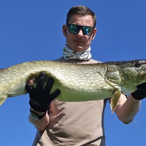 Aller-Böhme-Elbe-Weser Angler